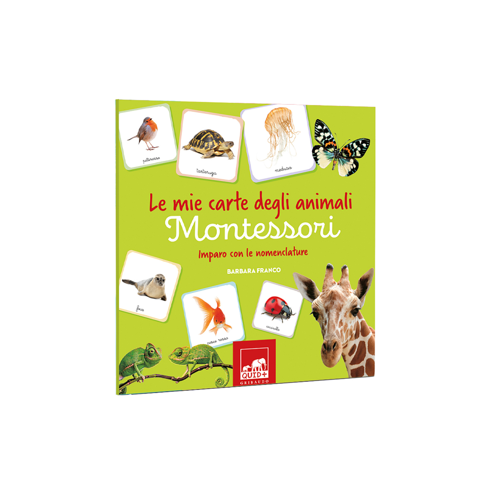 Le mie carte degli animali Montessori - immagine 3