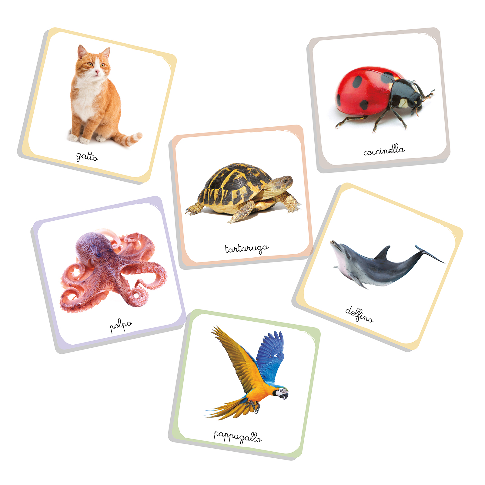 Le mie carte degli animali Montessori - immagine 2